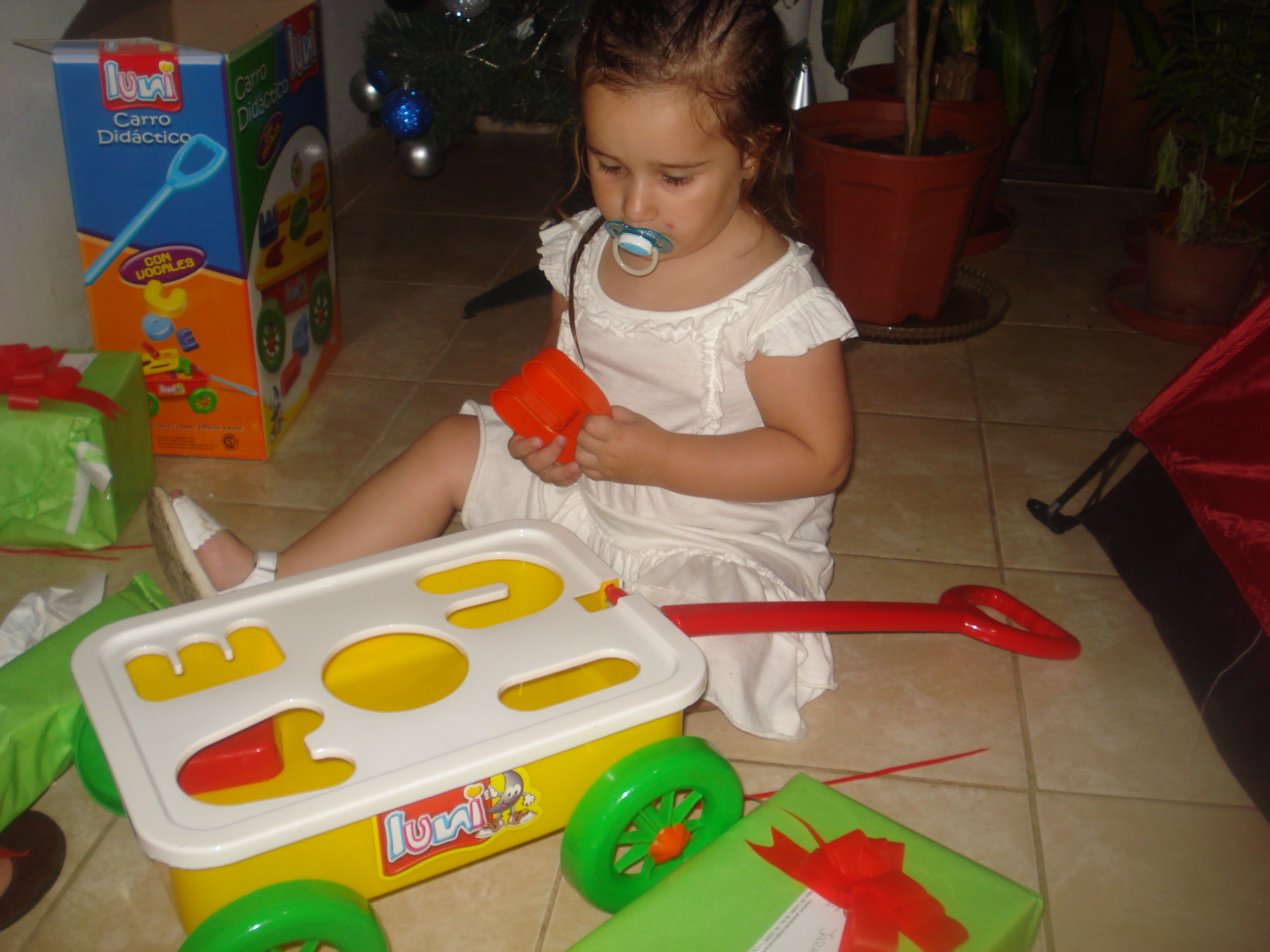 fotos/2012-12-24 - Navidad y pileta/DSC05094.JPG